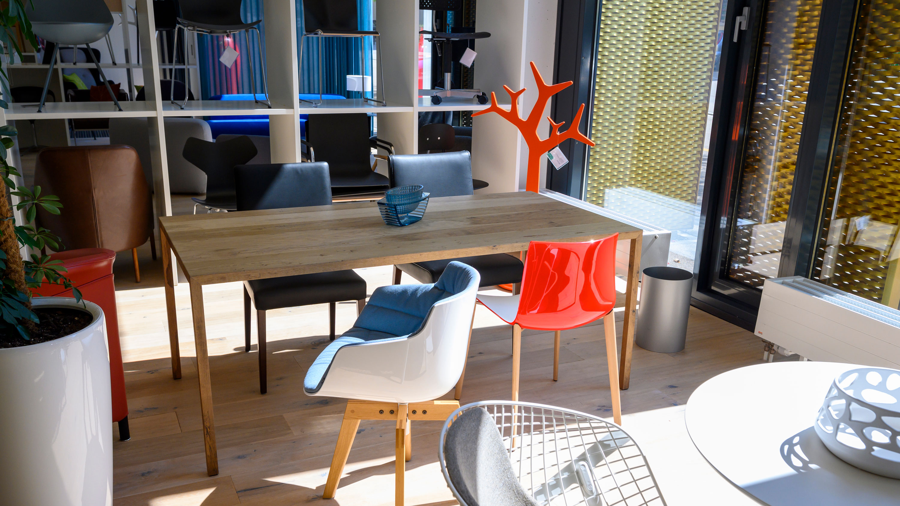 Header, Intrada, Showroom